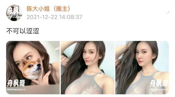 陈大小姐 微密圈 - 不得不说,陈大小姐又来了,这次是豹纹图包